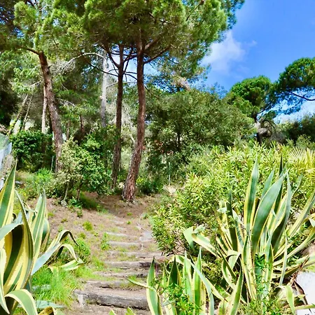 Villa V&v Lloret-villa Estrella, Vistas Al Mar Lloret de Mar